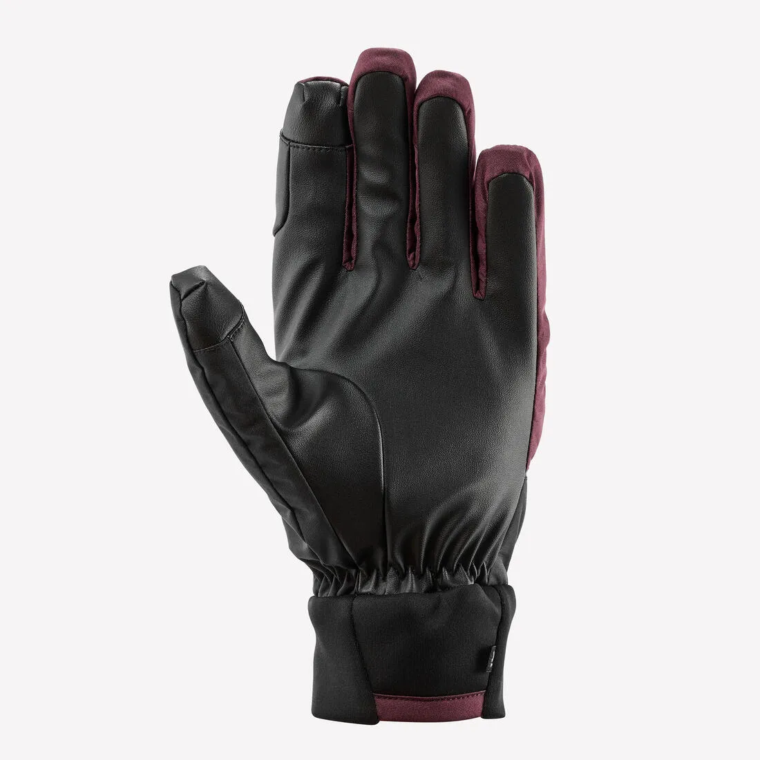 Adult Ski Gloves