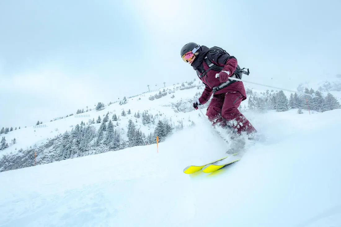 Adult Ski Gloves