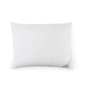 Cardigan Siberian Down DISPLAY Pillow by Sferra