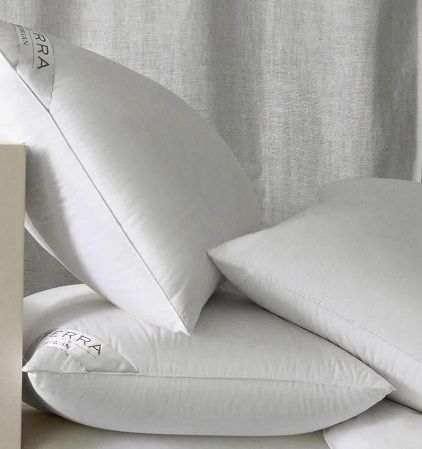 Cardigan Siberian Down DISPLAY Pillow by Sferra