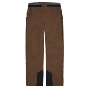 Picture Organic Picture Object Pant Mens 2025