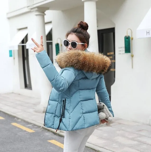 Winter Jacket Women Parkas for Coat Fashion Female Down Jacket With a Hood Large Faux Fur Collar Coat 2018 Autumn high quality